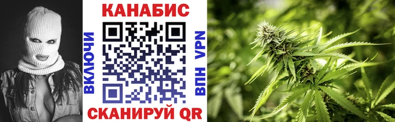 Купить где  Красавино  Канабис OG Kush 